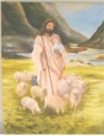 The Good Shepherd cares for His Sheep