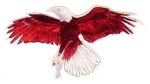 EagleFlying