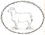 Sheep P and Ink